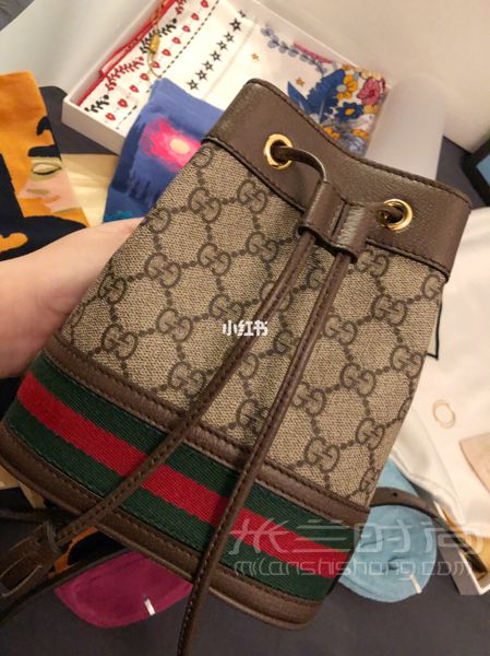 Gucci 2019年春夏新款小水桶包 昨天跟朋友看了展意犹未尽想去看各种品牌的1_2